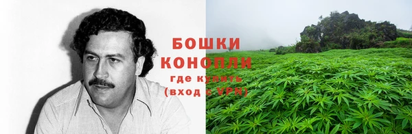 прущие грибы Лагань