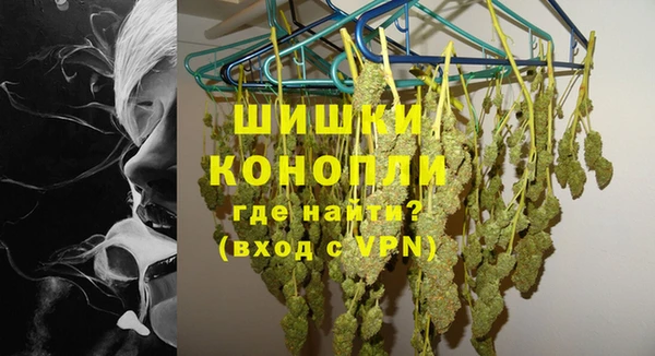 прущие грибы Лагань