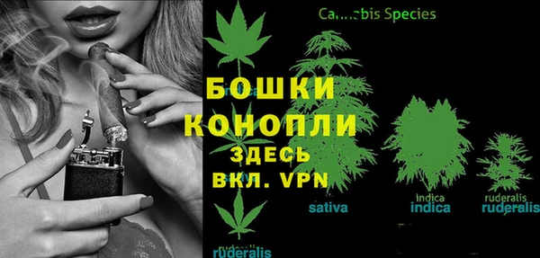 кокс Ладушкин
