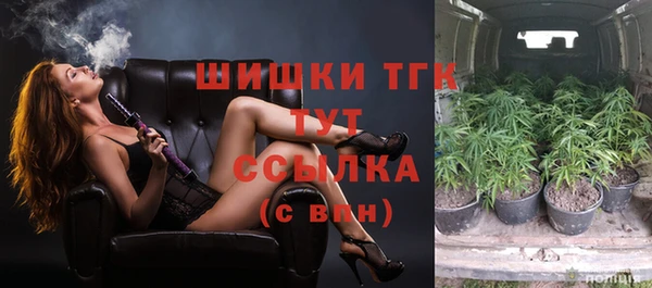 прущие грибы Лагань