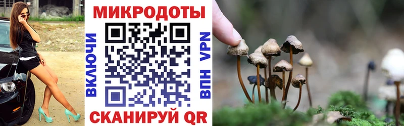 Псилоцибиновые грибы ЛСД  купить  сайты  мега зеркало  Тейково 