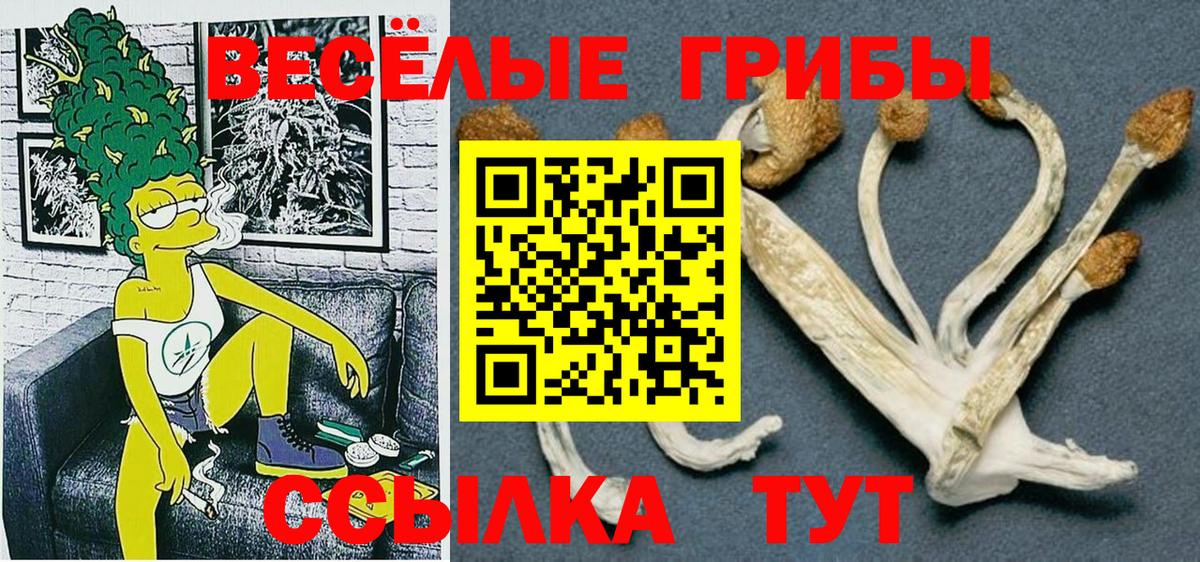 Псилоцибиновые грибы ЛСД  купить закладку  Тейково  Вход с VPN 
