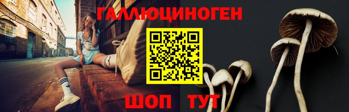 Псилоцибиновые грибы прущие грибы  где продают наркотики  Тейково 