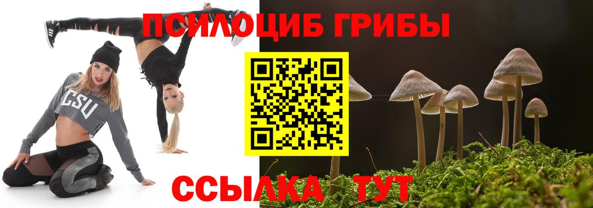 Псилоцибиновые грибы MAGIC MUSHROOMS Тейково